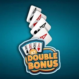 Double Double Bonus by Red Rake Gaming, showcased at bizzokaszino.net – game logo