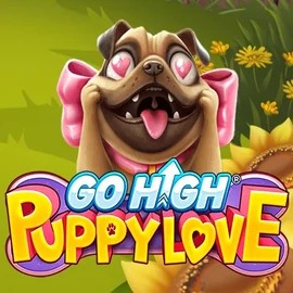 Play Go High Puppy Love slot by RubyPlay on bizzokaszino.net