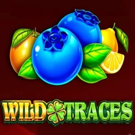 Wild Traces logo – Slots by Amusnet Interactive at Bizzo Casino